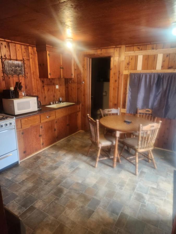 Cabin 2 Manistique Eksteriør billede